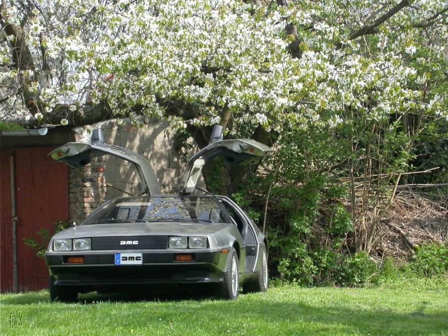  DeLorean DMC-12 1989 года  (фото 18 из 32)
